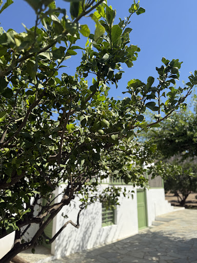 Edem Hotel