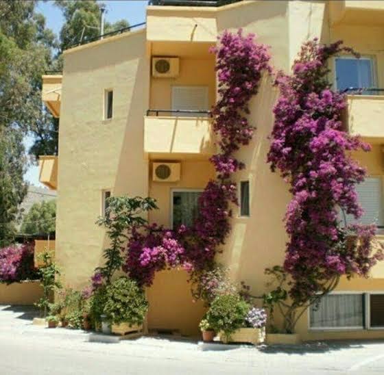 Georgioupolis Plaza Suites