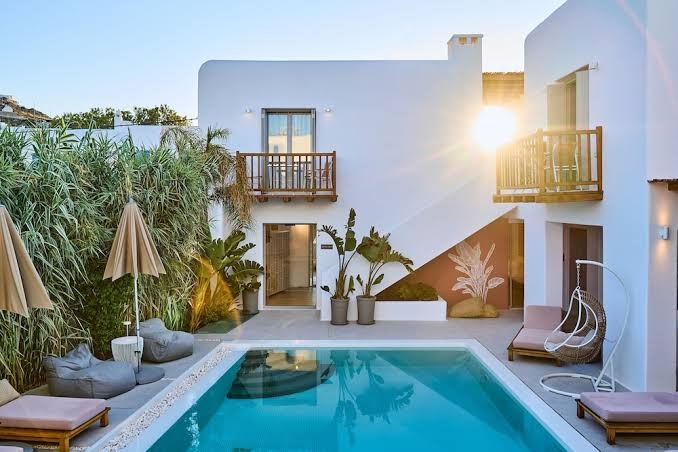 Mykonos Cactus
